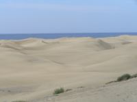 P4200481.JPG - 2005:04:20 10:59:05