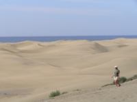 P4200482.JPG - 2005:04:20 10:59:08