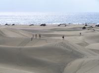 P4200483.JPG - 2005:04:20 10:59:19