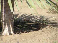 P4200484.JPG - 2005:04:20 11:06:14