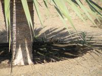 P4200485.JPG - 2005:04:20 11:06:15