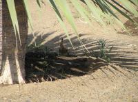 P4200486.JPG - 2005:04:20 11:06:20