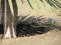 P4200487.JPG - 2005:04:20 11:06:21