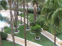 P4210504.JPG - 2005:04:21 13:31:49