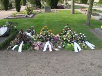 P5010541.JPG - 2005:05:01 16:30:18