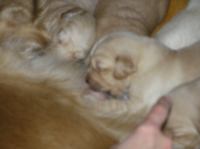 P5110010.JPG - 2005:05:11 19:31:22