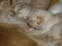 P5110011.JPG - 2005:05:11 19:31:25