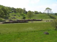 P5240102.JPG - 2005:05:24 11:10:29