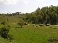 P5240103.JPG - 2005:05:24 11:10:34