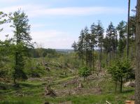 P5240104.JPG - 2005:05:24 11:47:53