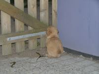 P6020220.JPG - 2005:06:02 20:27:35