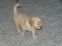 P6020221.JPG - 2005:06:02 20:27:48