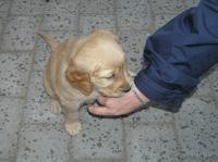 P6020222.JPG - 2005:06:02 20:28:09