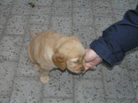 P6020223.JPG - 2005:06:02 20:28:12