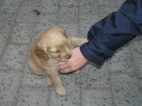 P6020224.JPG - 2005:06:02 20:28:15