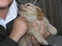 P6020225.JPG - 2005:06:02 20:28:58