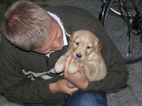 P6020226.JPG - 2005:06:02 20:29:20