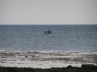 P6040227.JPG - 2005:06:04 20:34:22