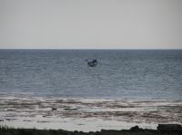 P6040228.JPG - 2005:06:04 20:34:25