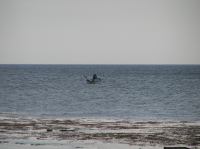 P6040229.JPG - 2005:06:04 20:34:30