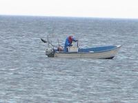 P6040232.JPG - 2005:06:04 20:35:50