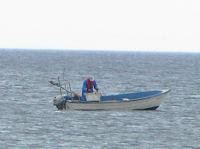 P6040233.JPG - 2005:06:04 20:35:53