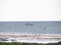 P6040235.JPG - 2005:06:04 20:36:07