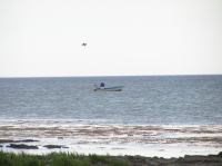 P6040236.JPG - 2005:06:04 20:36:12