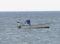 P6040237.JPG - 2005:06:04 20:36:17