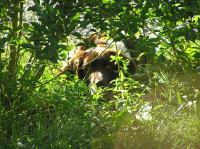 P6200275.JPG - 2005:06:20 18:40:29