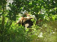 P6200276.JPG - 2005:06:20 18:40:30