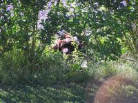 P6200277.JPG - 2005:06:20 18:40:36