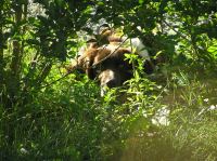 P6200278.JPG - 2005:06:20 18:40:49