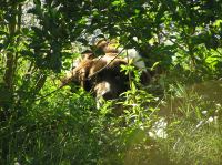 P6200279.JPG - 2005:06:20 18:40:50