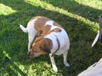 P6260284.JPG - 2005:06:26 19:11:28