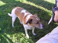 P6260285.JPG - 2005:06:26 19:11:31