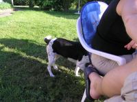 P6260286.JPG - 2005:06:26 19:11:38