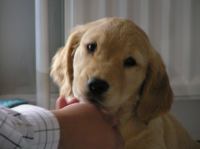 P6270298.JPG - 2005:06:27 17:52:46