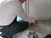 P6270299.JPG - 2005:06:27 17:52:54