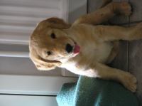 P6270300.JPG - 2005:06:27 17:53:09