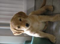 P6270301.JPG - 2005:06:27 17:53:10