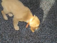 P6270302.JPG - 2005:06:27 18:02:41