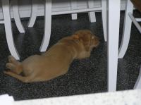 P6270303.JPG - 2005:06:27 18:45:33