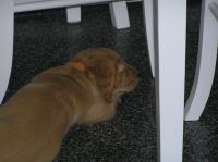 P6270304.JPG - 2005:06:27 18:45:38