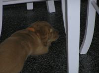 P6270305.JPG - 2005:06:27 18:45:42