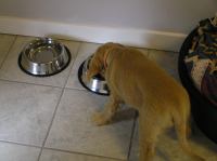 P6270306.JPG - 2005:06:27 18:52:45