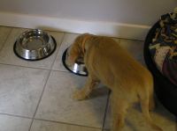 P6270307.JPG - 2005:06:27 18:52:46