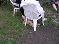 P6270310.JPG - 2005:06:27 19:32:41