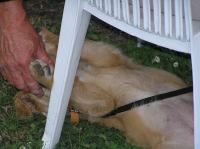 P6270311.JPG - 2005:06:27 19:32:46