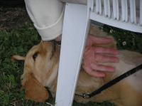 P6270312.JPG - 2005:06:27 19:32:52